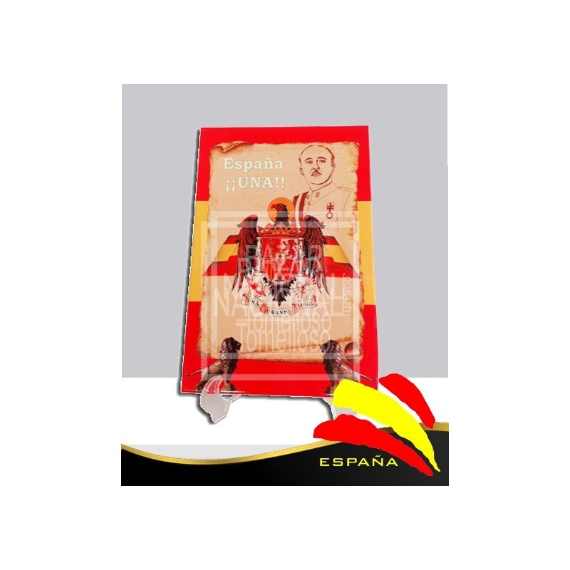 Cerámica Águila de San Juan 20 x 30