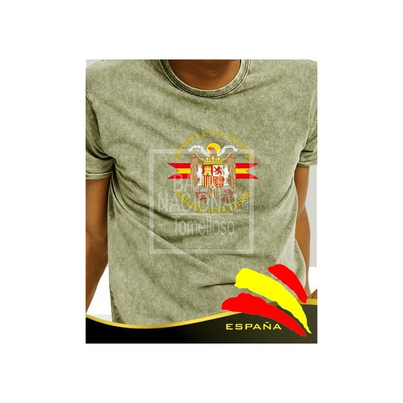 Camiseta degradada verde Águila Central