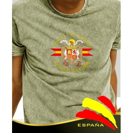 Camiseta degradada verde Águila Central