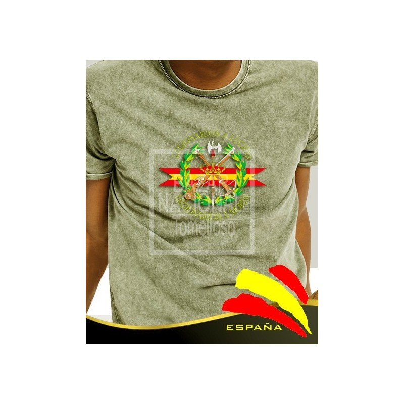 Camiseta degradada verde Legión Central