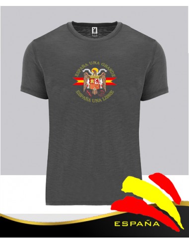Camiseta Gris Águila San Juan Central